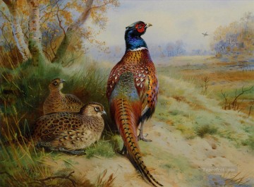 森の端にいる雄鶏と雌鶏 キジ 1926 鳥 Oil Paintings